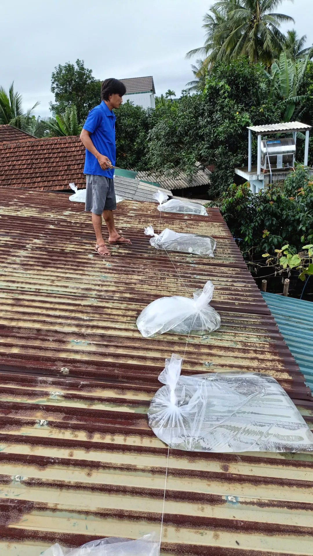 Hình ảnh -Tuổi Trẻ Hoài Nhơn Bắc Ra Quân Giúp Dân Ứng Phó Với Bão Số 13 Kalmaegi