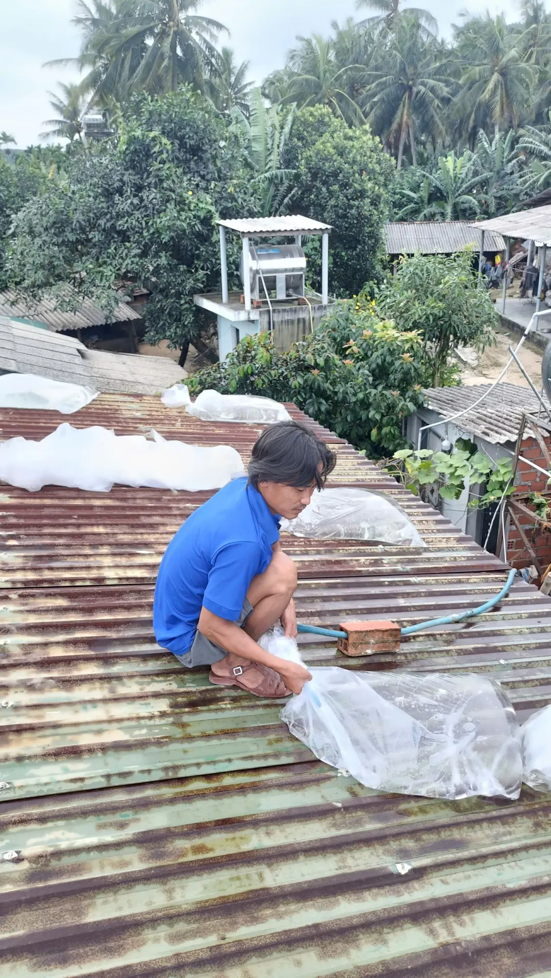 Hình ảnh - Tuổi Trẻ Hoài Nhơn Bắc Ra Quân Giúp Dân Ứng Phó Với Bão Số 13 Kalmaegi