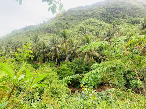 Chùa Mười Liễu Hoài Nhơn