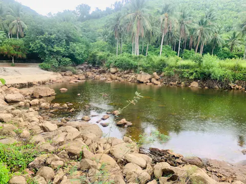 Chùa Mười Liễu Hoài Nhơn