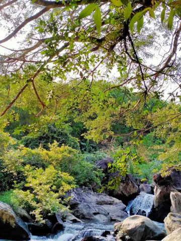 Suối Vàng Hoài Sơn
