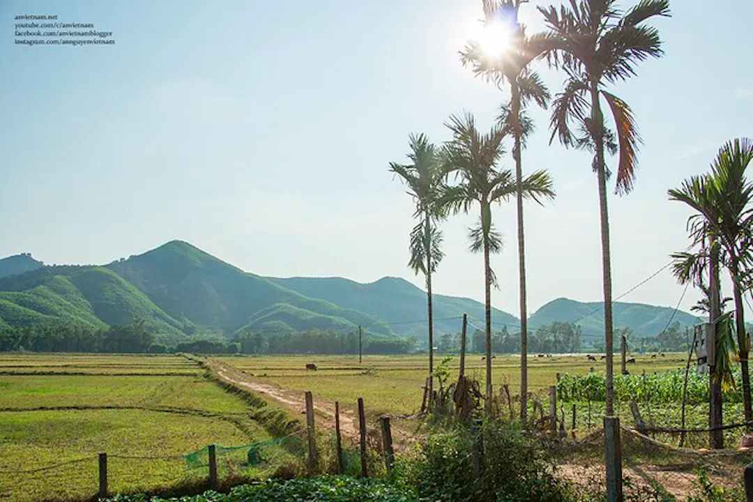 Thôn quê Hoài Nhơn: Tìm lại nhịp sống yên bình nơi xứ Nẫu