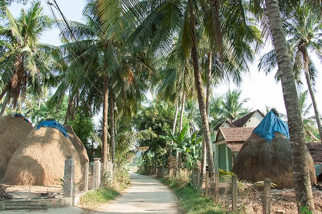 Đường quê với những ụ rơm thân thuộc