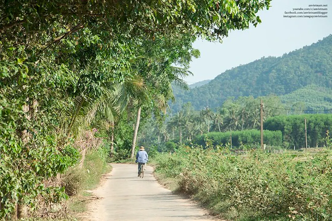 Thích ngắm mãi những con đường quê nhỏ xinh, xanh mượt mà như thế này!