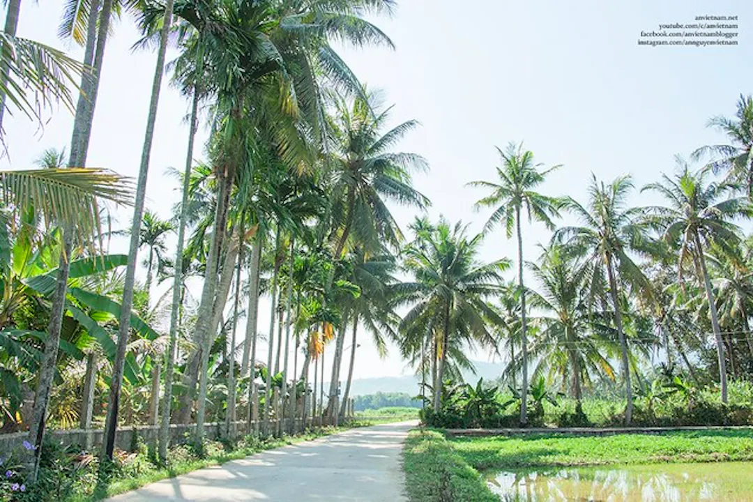 Ảnh từ Hello Hoài Nhơn
