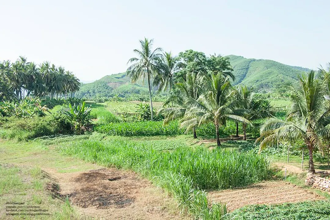 Ảnh từ Hello Hoài Nhơn