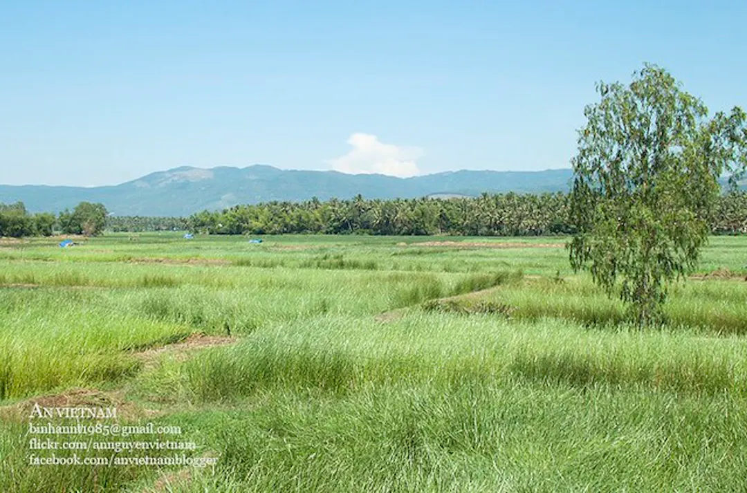 Ảnh từ Hello Hoài Nhơn