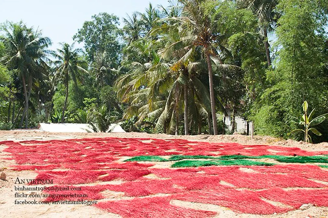 Ảnh từ Hello Hoài Nhơn