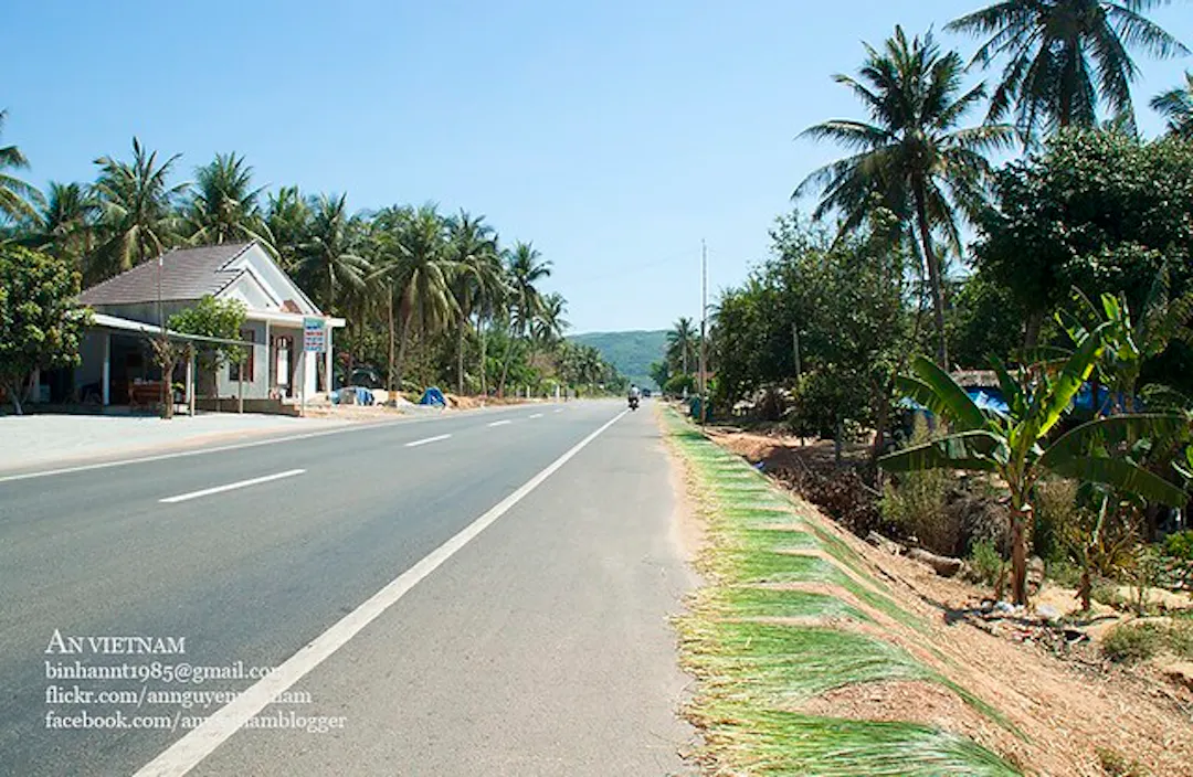 Ảnh từ Hello Hoài Nhơn