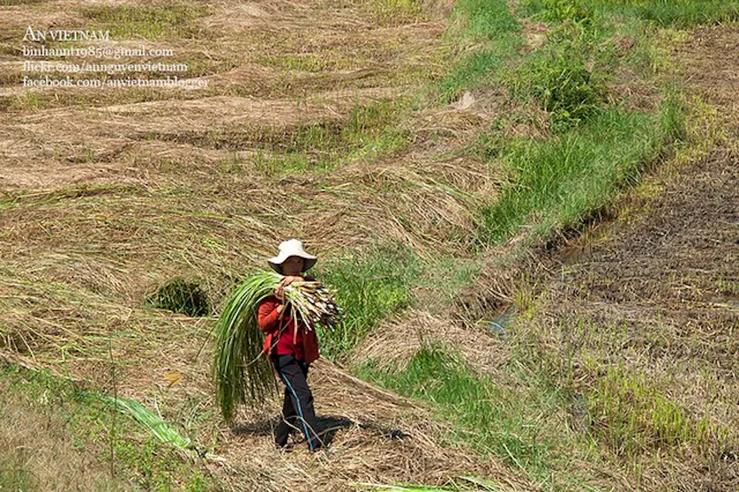 Ảnh từ Hello Hoài Nhơn