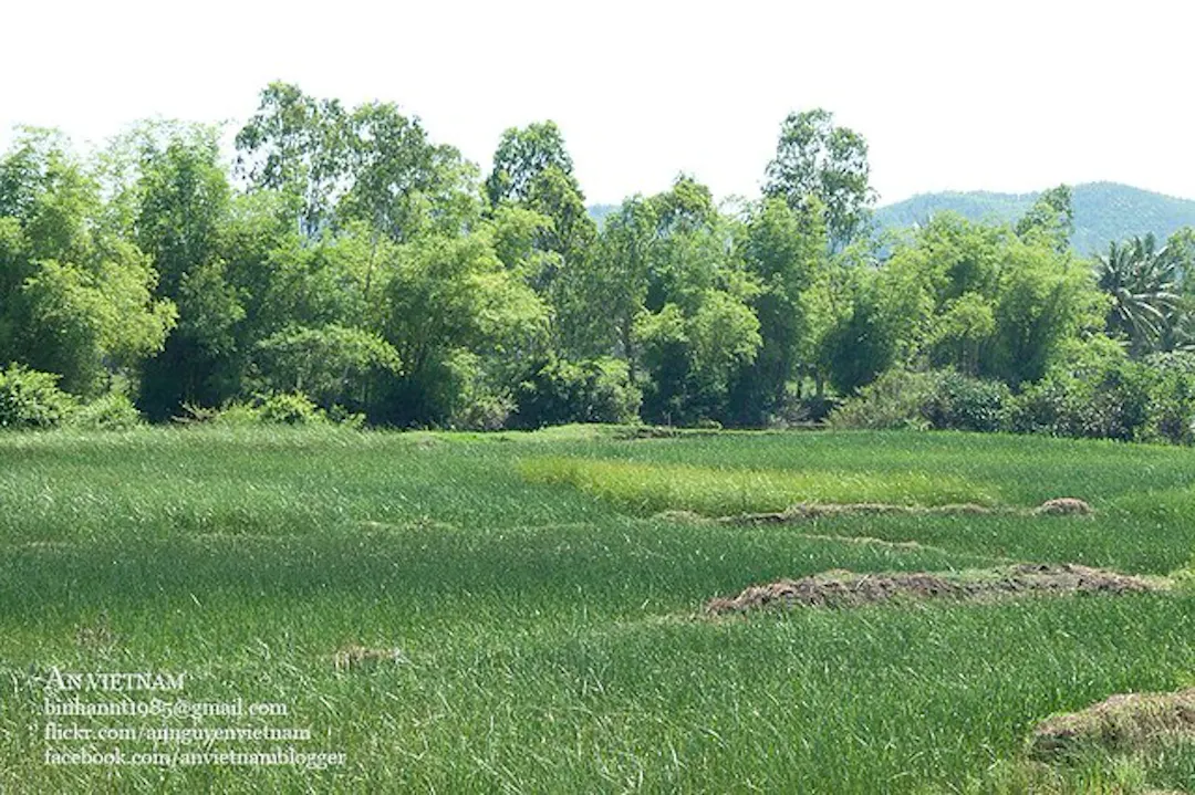Ảnh từ Hello Hoài Nhơn