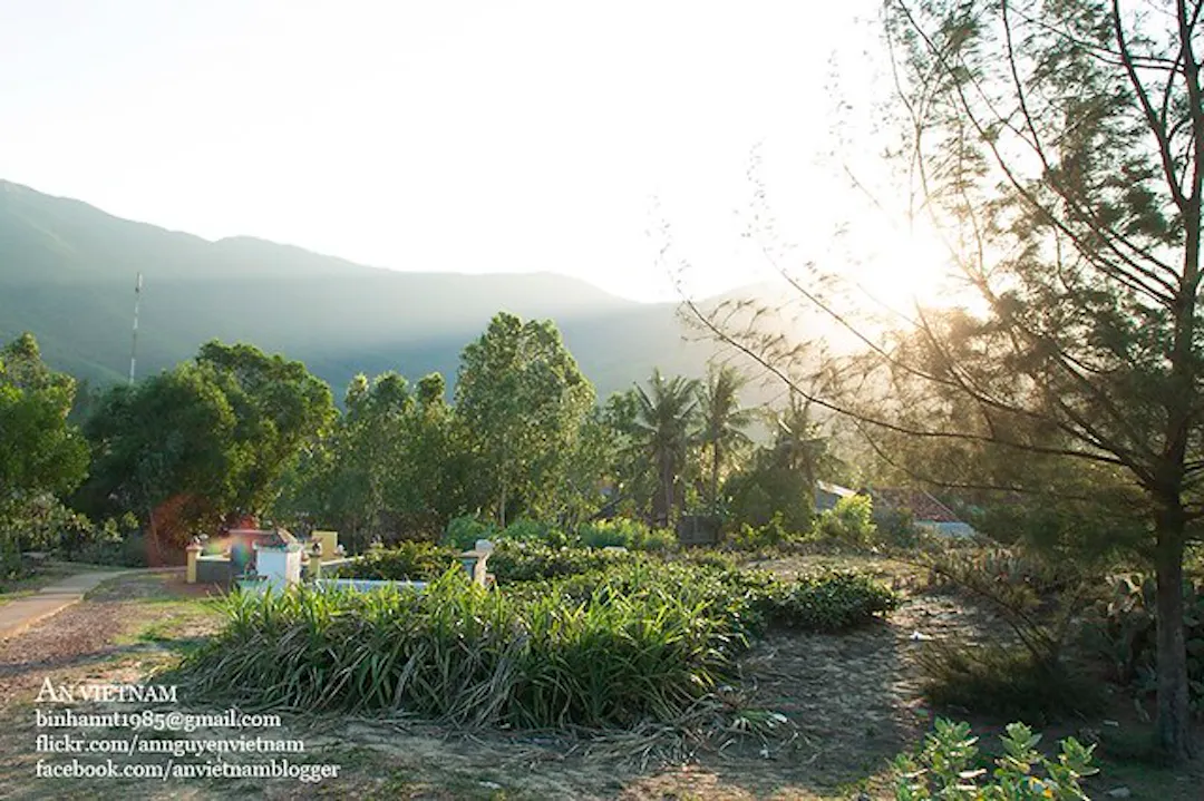 Ảnh từ Hello Hoài Nhơn