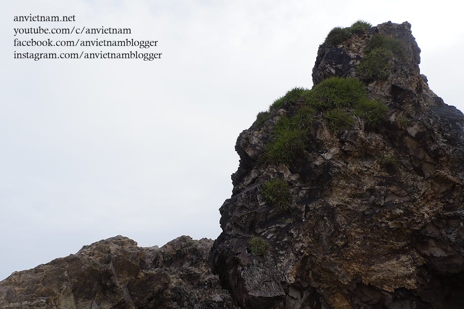 Gành Đá Lộ Diêu Đẹp Ngẩn Ngơ Vào Mùa Rêu Xanh Ở Hoài Nhơn