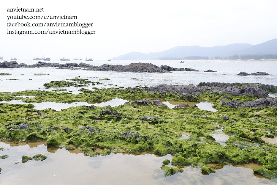 Gành Đá Lộ Diêu Đẹp Ngẩn Ngơ Vào Mùa Rêu Xanh Ở Hoài Nhơn