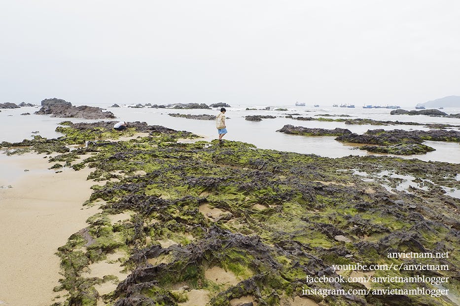Gành Đá Lộ Diêu Đẹp Ngẩn Ngơ Vào Mùa Rêu Xanh Ở Hoài Nhơn
