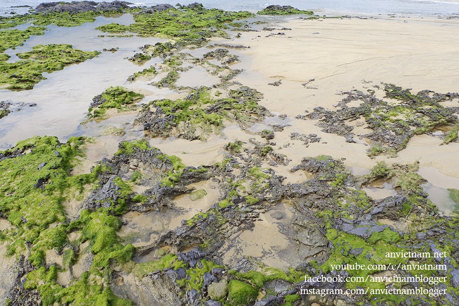 Gành Đá Lộ Diêu Đẹp Ngẩn Ngơ Vào Mùa Rêu Xanh Ở Hoài Nhơn