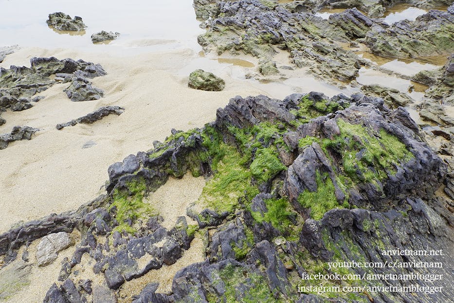 Gành Đá Lộ Diêu Đẹp Ngẩn Ngơ Vào Mùa Rêu Xanh Ở Hoài Nhơn