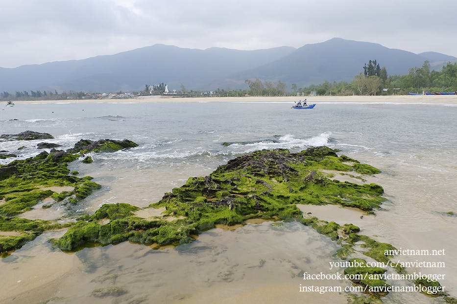 Gành Đá Lộ Diêu Đẹp Ngẩn Ngơ Vào Mùa Rêu Xanh Ở Hoài Nhơn