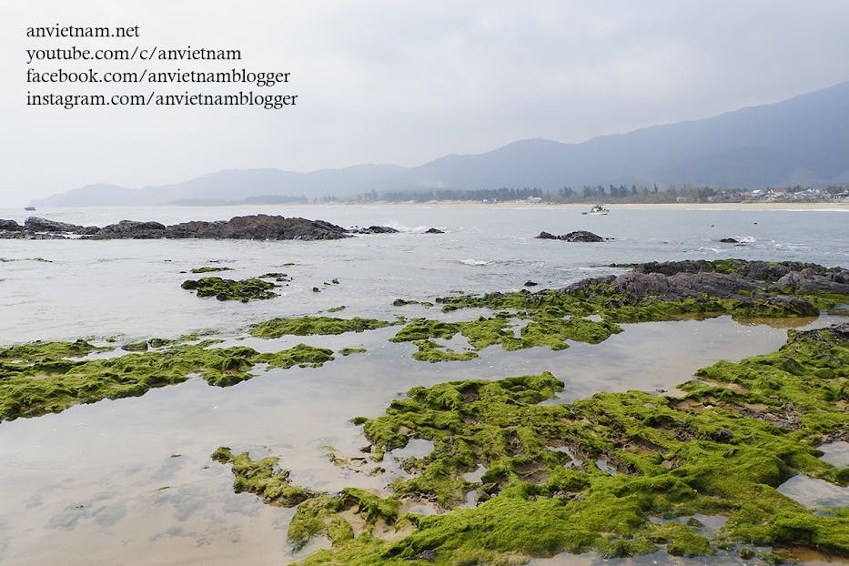 Gành Đá Lộ Diêu Đẹp Ngẩn Ngơ Vào Mùa Rêu Xanh Ở Hoài Nhơn