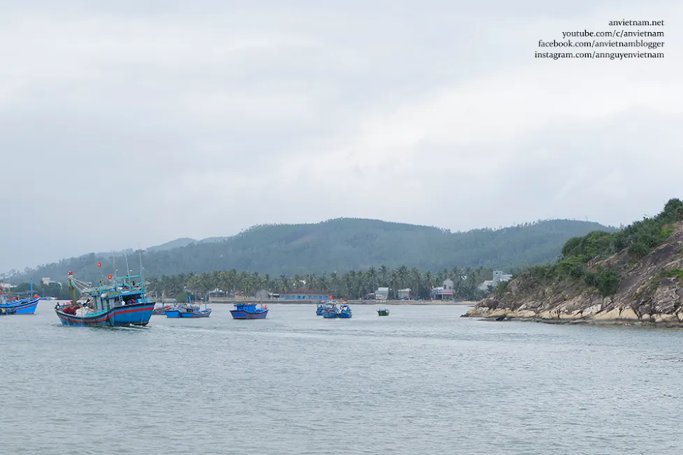 Săn ảnh mùa rêu xanh Tam Quan Bắc - Check-in "Ngọc bích" Hoài Nhơn