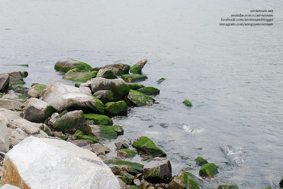 Săn ảnh mùa rêu xanh Tam Quan Bắc - Check-in "Ngọc bích" Hoài Nhơn