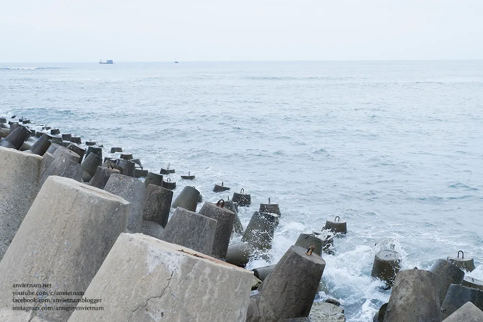 Săn ảnh mùa rêu xanh Tam Quan Bắc - Check-in "Ngọc bích" Hoài Nhơn