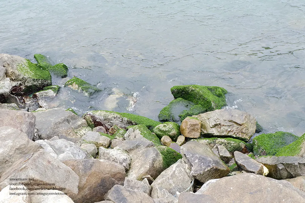 Săn ảnh mùa rêu xanh Tam Quan Bắc - Check-in "Ngọc bích" Hoài Nhơn