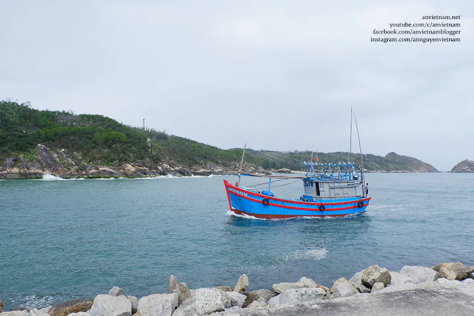 Săn ảnh mùa rêu xanh Tam Quan Bắc - Check-in "Ngọc bích" Hoài Nhơn