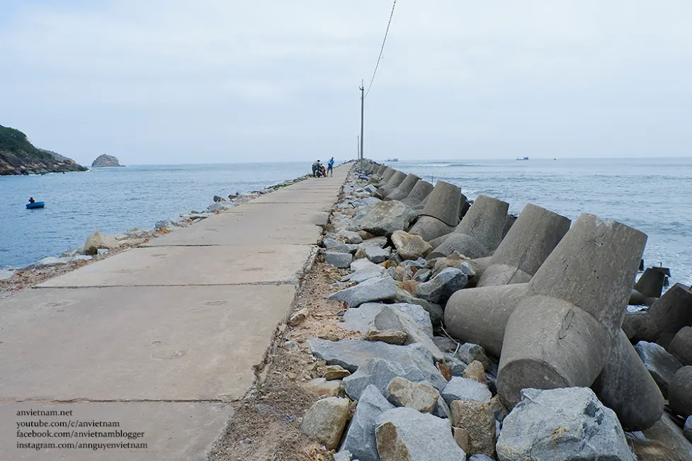 Săn ảnh mùa rêu xanh Tam Quan Bắc - Check-in "Ngọc bích" Hoài Nhơn