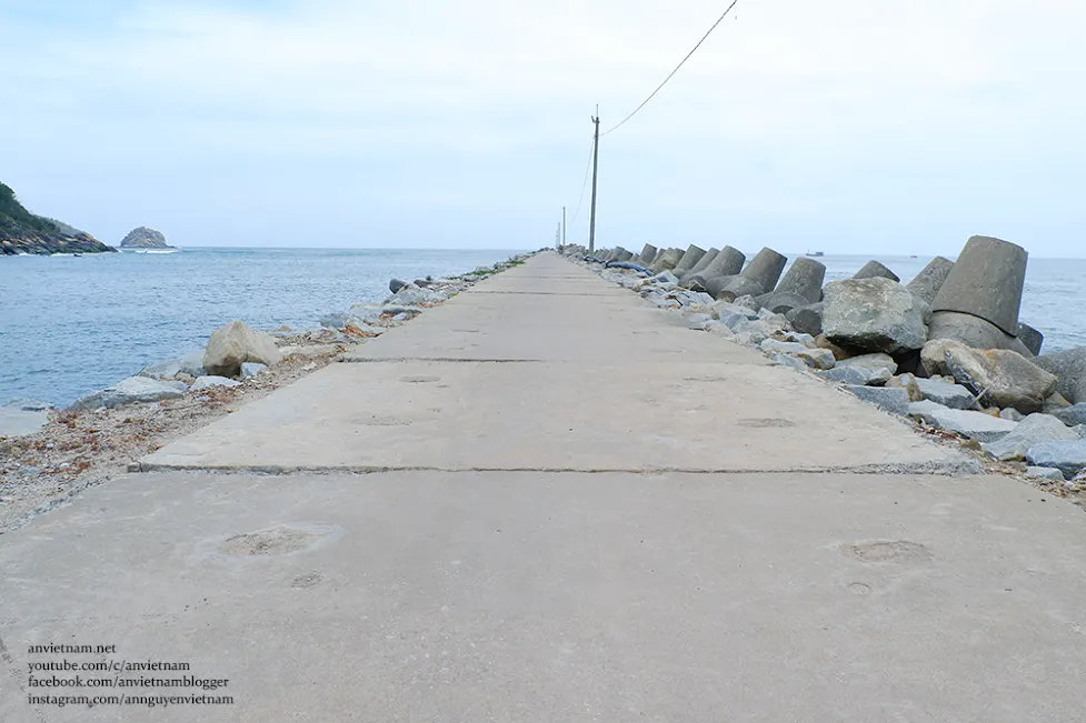 Săn ảnh mùa rêu xanh Tam Quan Bắc - Check-in "Ngọc bích" Hoài Nhơn