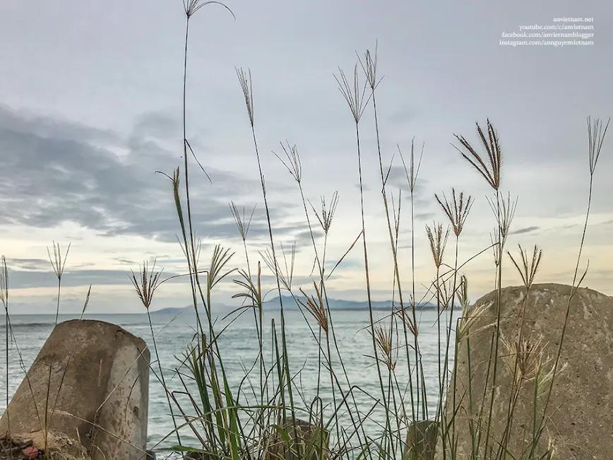 Bờ kè biển Tam Quan - Điểm check-in ngắm hoàng hôn cực phẩm ở Hoài Nhơn
