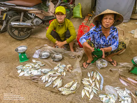 Bờ kè biển Tam Quan - Điểm check-in ngắm hoàng hôn cực phẩm ở Hoài Nhơn