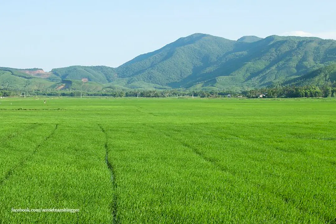 Với địa hình đồi núi chia cắt đa dạng nên hầu như bạn luôn nhìn thấy cảnh núi non xa xa từ mọi phía