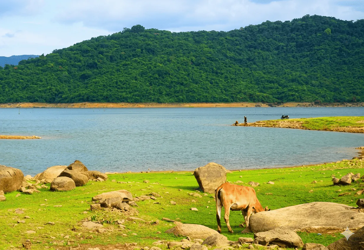 Hồ Mỹ Bình Hoài Nhơn
