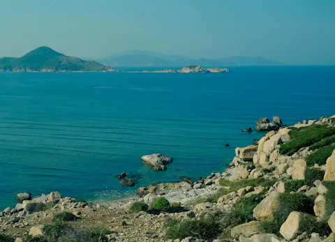 banner website hello hoai nhon