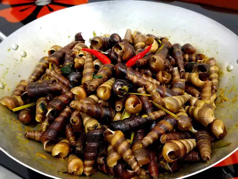 Ốc Hút