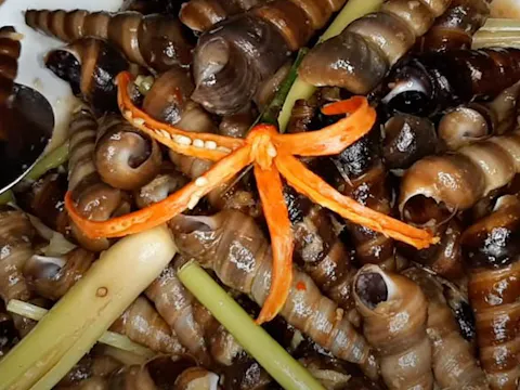 Ốc Hút