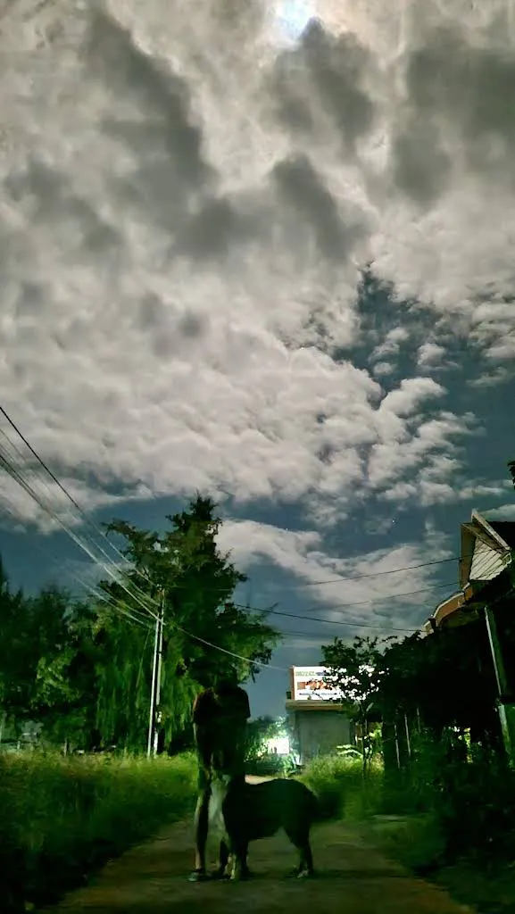 View 1