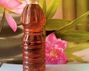 Mắm Nhĩ Cá Cơm