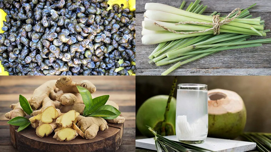 Chuẩn bị nguyên liệu làm ốc hút