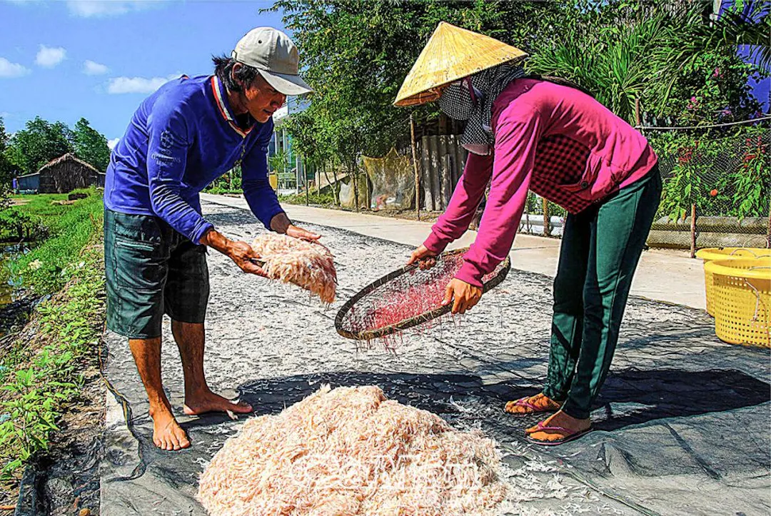 Quy cách đóng gói và cách bảo quản ruốc khô luôn ngon ngọt