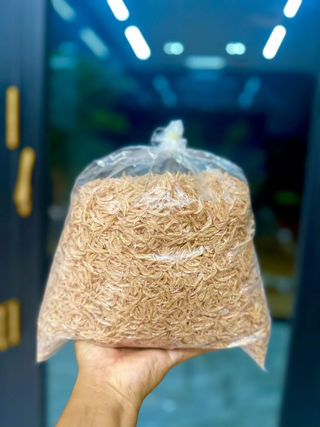 Mua ruốc khô Bình Định ở đâu?