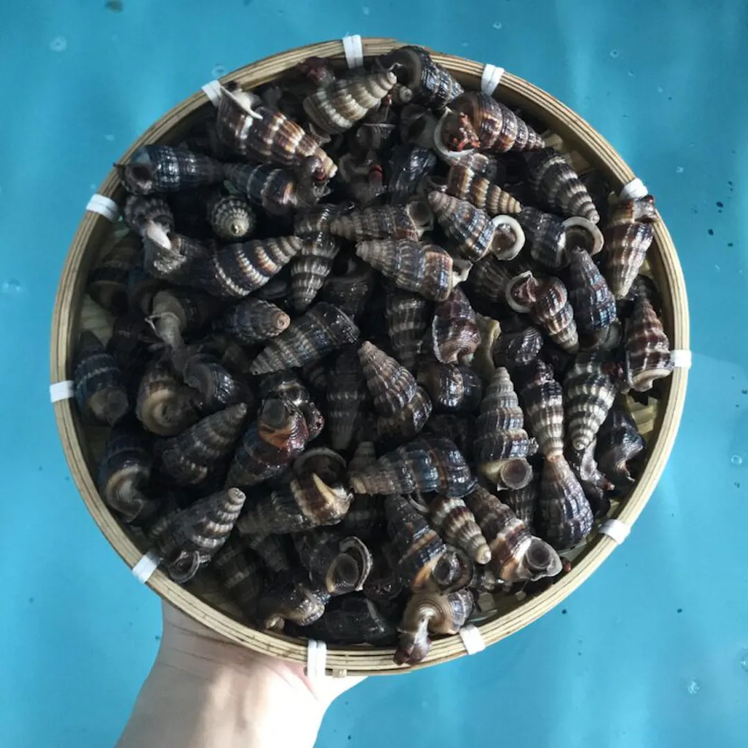 Chặt đuôi, thấm vị