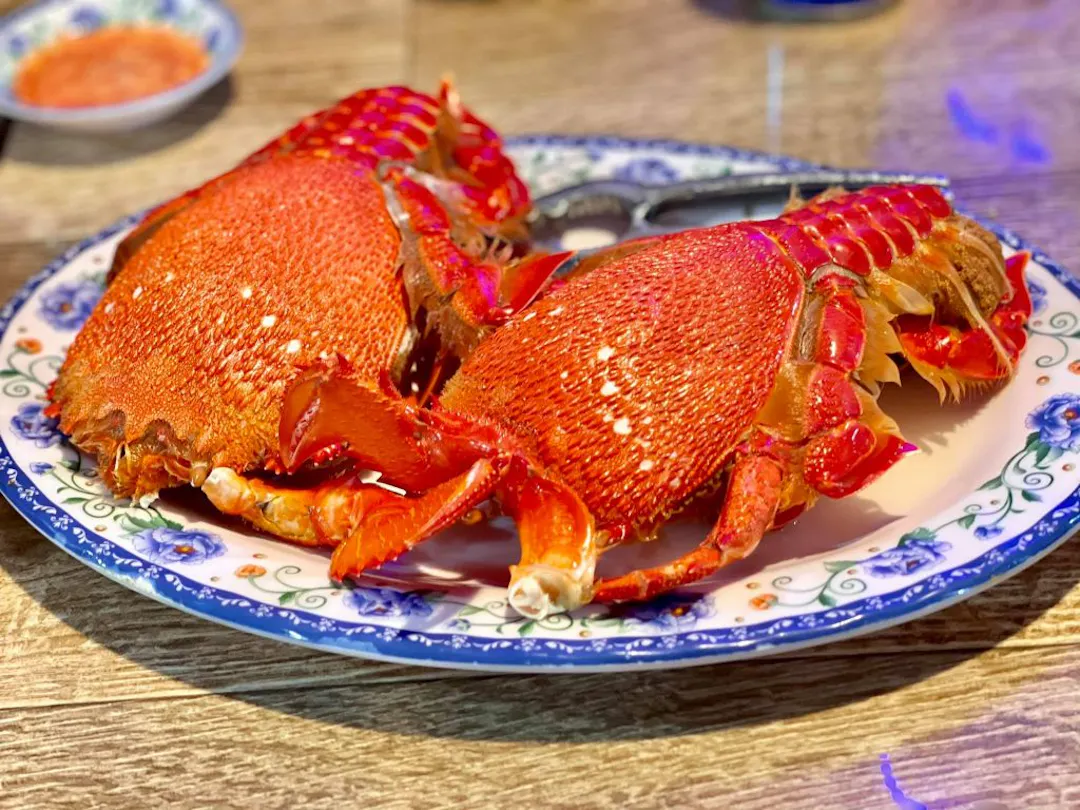Tấm chiến bào dầy dặn và ngoại hình "độc nhất vô nhị"