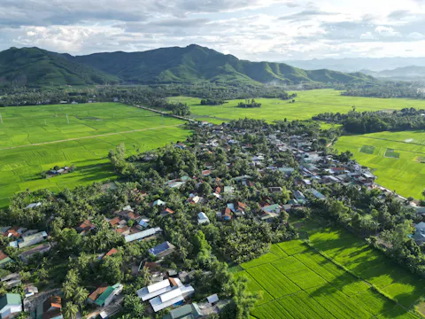 Phường Bồng Sơn