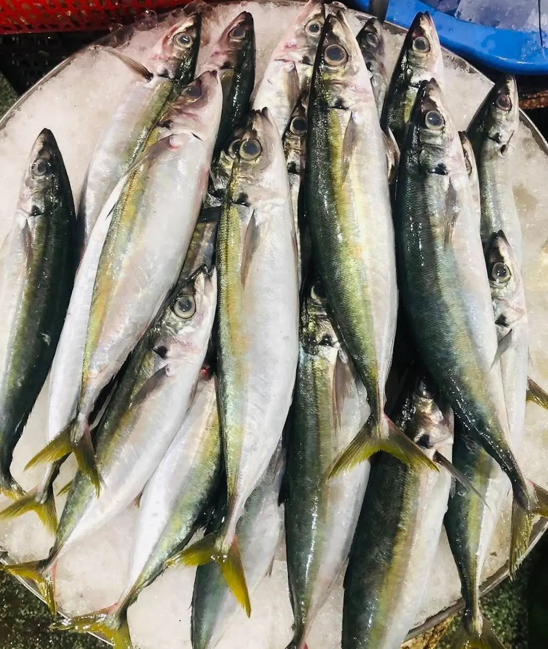 Chuẩn bị nguyên liệu (Lưu ý chọn cá nục suôn tươi xanh, bánh tráng Bình Định loại mỏng dẻo)