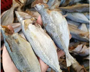 Khô cá bạc má Bình Định