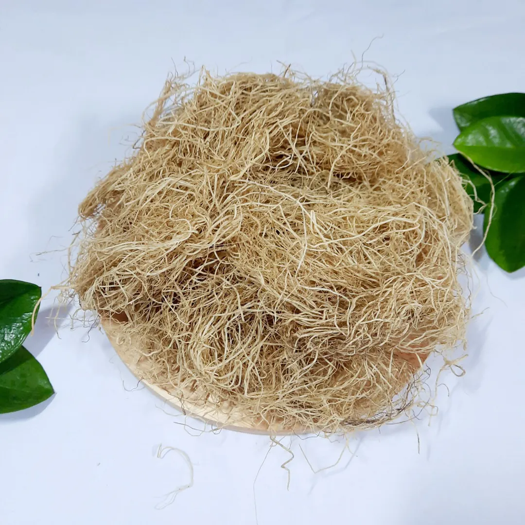 Mùa hái rong câu chỉ