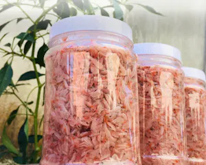 Mắm Ruốc Sổi