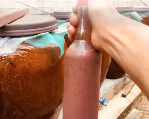 Mắm Đục Bình Định